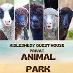Kisleshegy Vendeghaz Villa Dorgicse