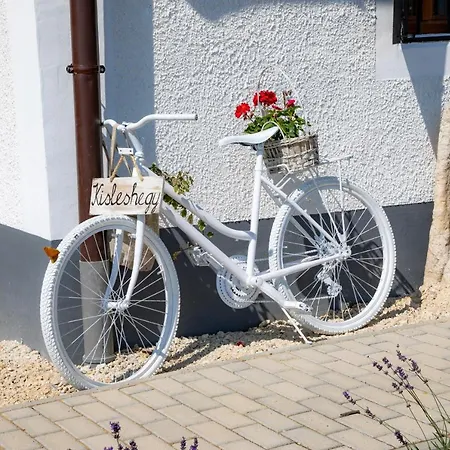 Kisleshegy Vendeghaz Вилла *