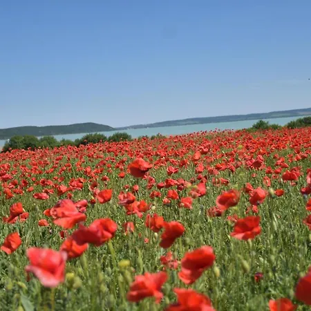 Kisleshegy Vendeghaz * Дёргиче