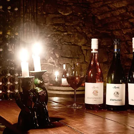 Вилла Kisleshegy Vendeghaz *