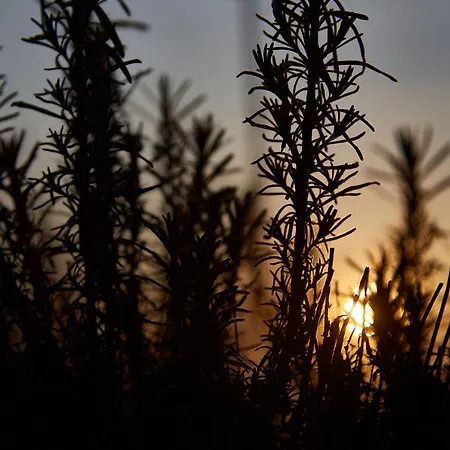 Villa Kisleshegy Vendeghaz Dörgicse