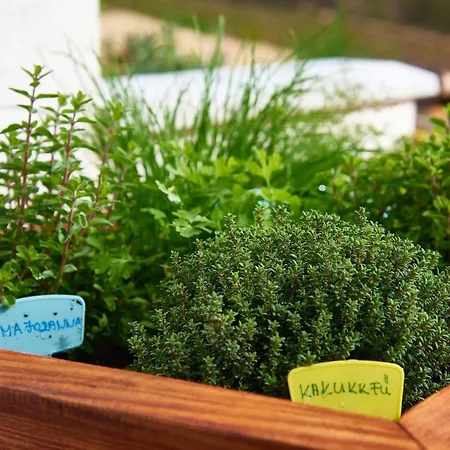 Kisleshegy Vendeghaz Villa