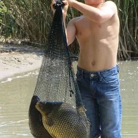 Villa Kisleshegy Dörgicse