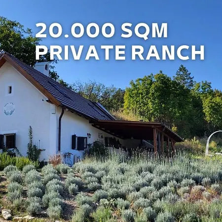 Kisleshegy Villa Dörgicse