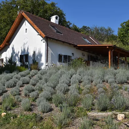 Kisleshegy Vendeghaz * Dörgicse