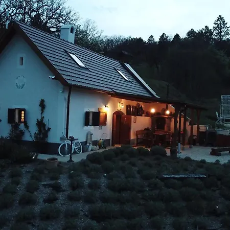 Kisleshegy Vendeghaz * Dörgicse