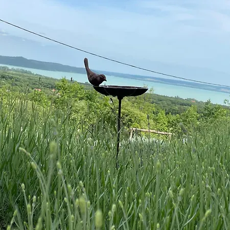 Вилла Kisleshegy Vendeghaz *