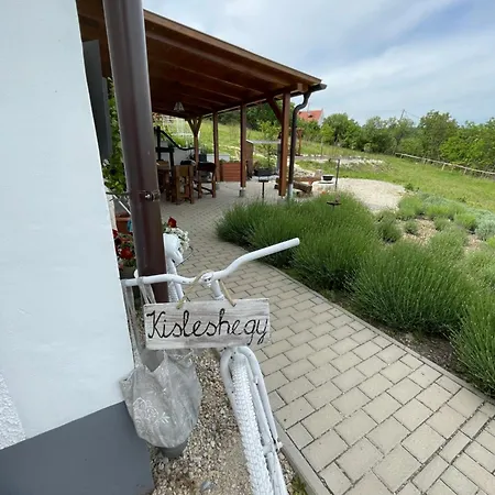 Kisleshegy Villa Dörgicse