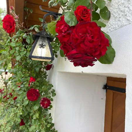 Kisleshegy Villa Dörgicse