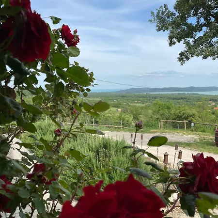 Kisleshegy Vendeghaz * Дёргиче