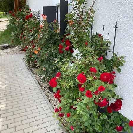 Sauna & Jakuzzi Kisleshegy Vendeghaz Villa Dorgicse