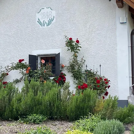 Villa Sauna & Jakuzzi Kisleshegy Vendeghaz