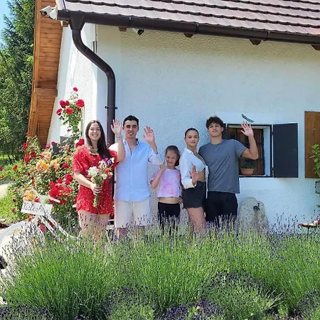 Villa Sauna & Jakuzzi Kisleshegy Vendeghaz *
