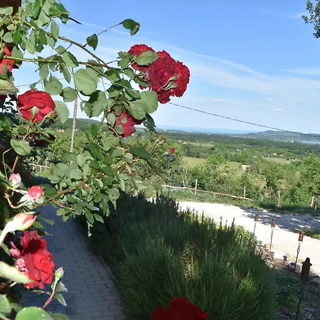 Kisleshegy Vendeghaz Villa