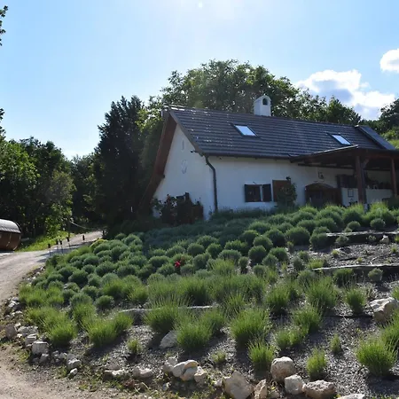 Sauna & Jakuzzi Kisleshegy Vendeghaz Villa Dorgicse