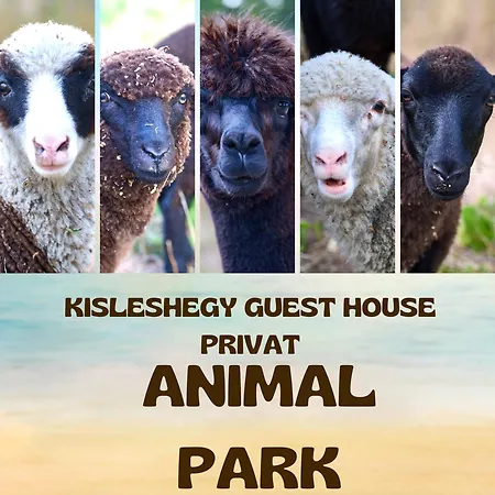 Kisleshegy Villa Dörgicse