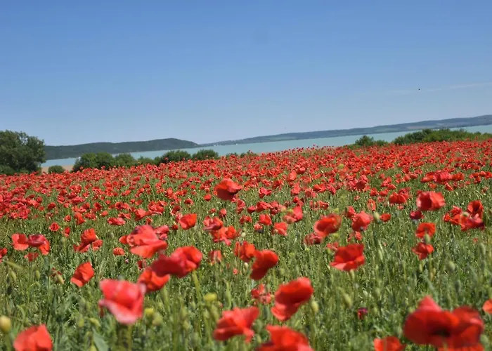 Kisleshegy Vendeghaz * Dörgicse