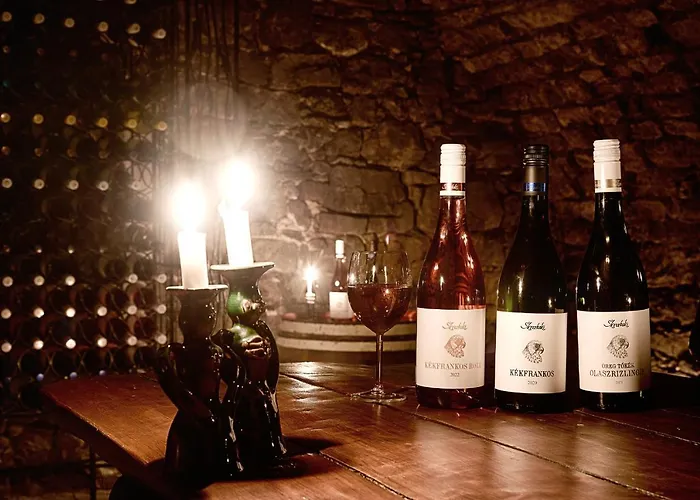 Willa Kisleshegy Vendeghaz *