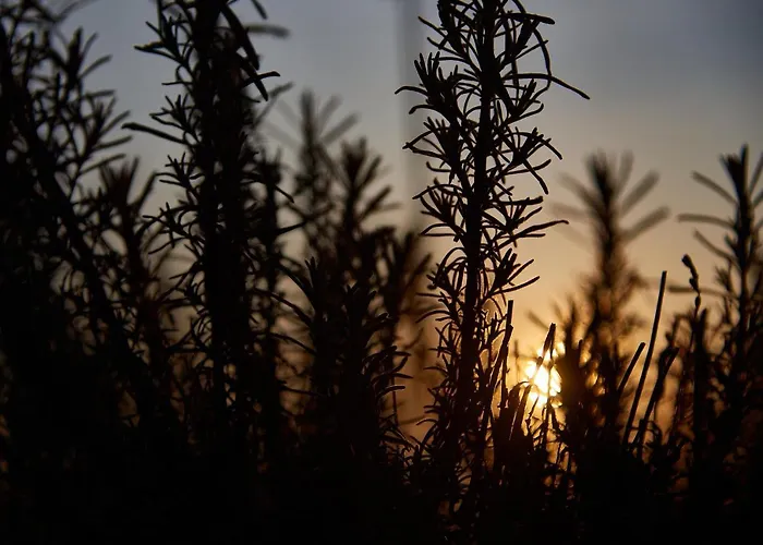 Willa Kisleshegy Vendeghaz Dörgicse