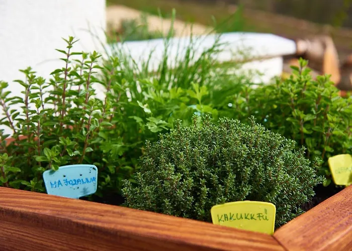 Kisleshegy Vendeghaz Willa