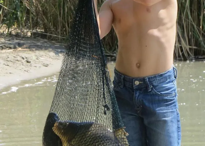 Willa Kisleshegy Vendeghaz Dörgicse