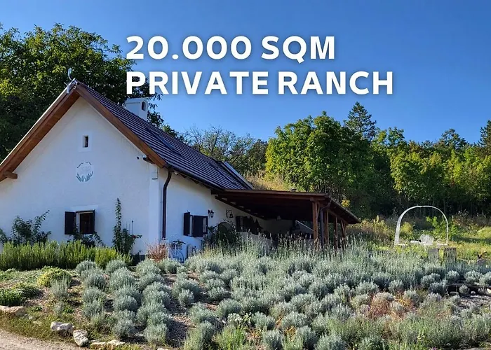 Kisleshegy Vendeghaz Willa Dörgicse