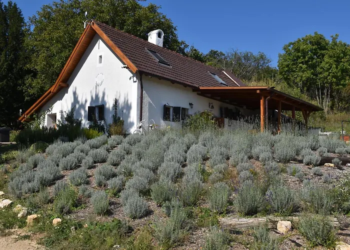 Kisleshegy Vendeghaz * Dörgicse