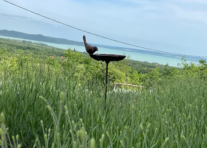 Willa Kisleshegy Vendeghaz *