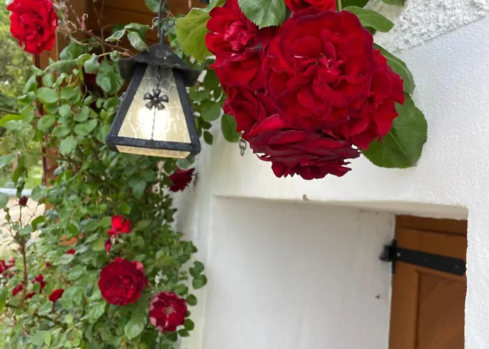 Kisleshegy Vendeghaz Willa Dörgicse