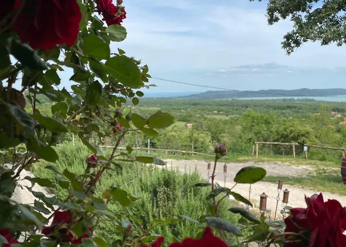 Kisleshegy Vendeghaz * Dörgicse