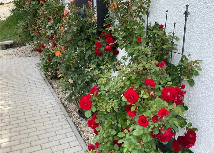 Kisleshegy Vendeghaz Willa Dörgicse