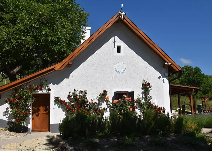 Willa Kisleshegy Vendeghaz *