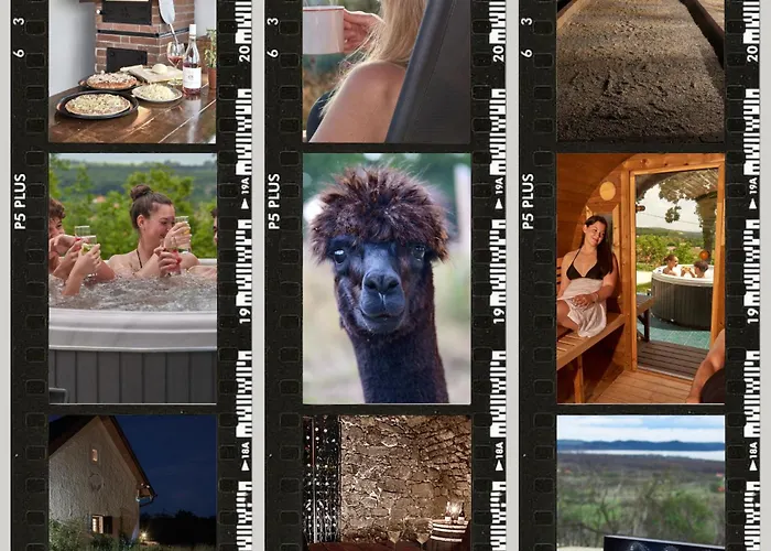 Kisleshegy Vendeghaz Dörgicse