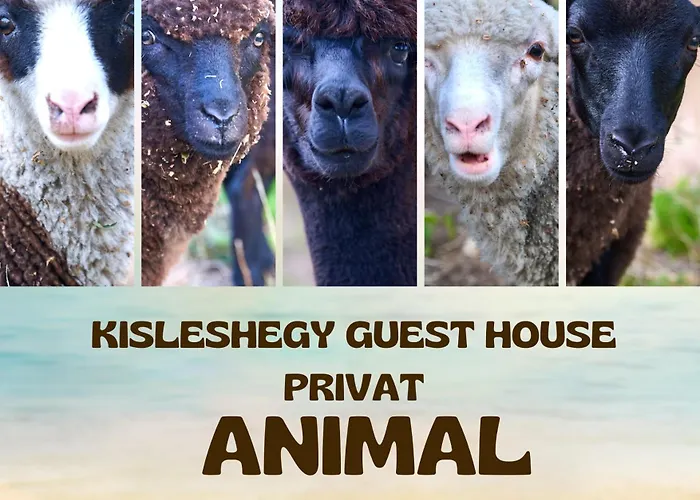 Kisleshegy Villa Dörgicse